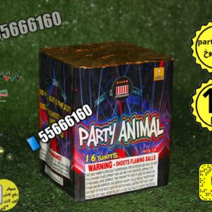 راجمه 16 صاروخ party للبيع