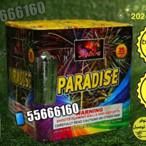 راجمه 25 صاروخ الحجم الكبير