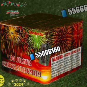 راجمه 36 صاروخ silver للبيع